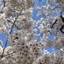 (주)호텔701 경주 이미지