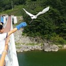 경북야생동물구조관리센터 이미지