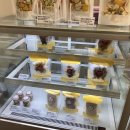 해피퍼피스데이 이미지