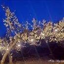 율천공원 이미지