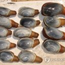 (주)웰빙을 만드는 사람들 이미지