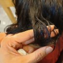 헤비수헤어서원대점 이미지