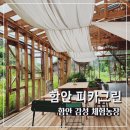 함안 피카그린 다육아트 클래스 감성체험 후기