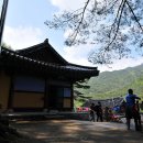 물소리새소리 이미지