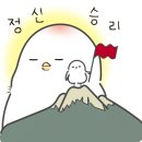 정산부인과 이미지