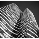 불막열삼 이미지