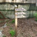 창조자연사박물관 | 경기도 시흥 창조자연사박물관, 공룡 친구들 만나고 온 날!!!(솔직 후기)