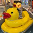 대구 대형 키즈카페 키즈베이 대구점 뷔페음식 가격 만족후기