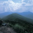 용지봉 Daum카페