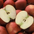 문경온천 1공원 이미지