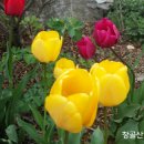 고대1073 이미지