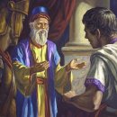 향기나라사랑이 이미지