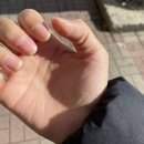 군산 / 살롱바이온 두근두근 인생 첫 네일후기 내돈내산