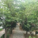 남산정 경로당 네이버블로그
