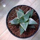 명창농장 이미지