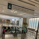 7번가피자강원둔내점 | 오전 서울출발고속도로상황 횡성아침식사 횡성맛집 둔내역마트 웰리힐리파크 웰리힐리파크본관부대시설...
