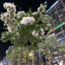 하루분식 이미지