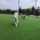 카페리브어스 네이버블로그