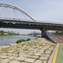 이문1제방 이미지