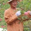 청도농장 이미지