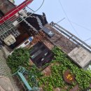 홍시약국 | 전주 한옥펜션 추천, 홍시한옥숙박 솔직 후기