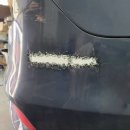 현대기아자동차 전문점 이미지