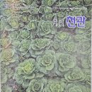 위두량 종친,《月刊천관》2025년 을사년(乙巳年) 새해 감사의 글 이미지