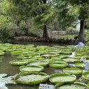 용안농장 이미지