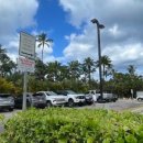 파라다이스 코브 이미지