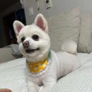 살롱드송송 이미지