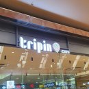 트리핀(Tripin) 이미지
