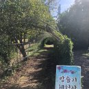 고라농장 이미지