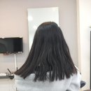 엘리쉬(ailish)