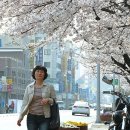 덕진구청 이미지