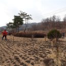 봉양면사무소 이미지