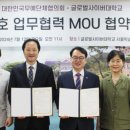 글로벌사이버대학교 이미지