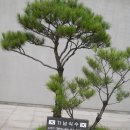 풍기특산물영농조합법인