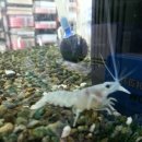 DC킹마트 이미지