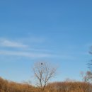 기흥호수공원 이미지