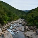 신흥교입구 이미지