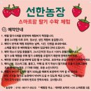 선한농장 이미지