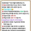 이브겨울이네펜션 이미지