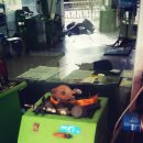 유영자동차공업사 이미지