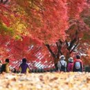 마곡사경내 이미지