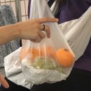 윤씨네민박 이미지