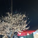 영신숲길3 이미지