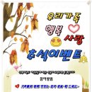 진향태권도장 이미지