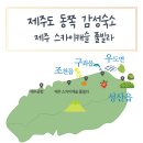 제주스카이캐슬풀빌라 이미지