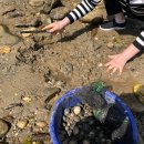 사랑나무민박 이미지