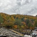 오대산 금빛펜션 이미지